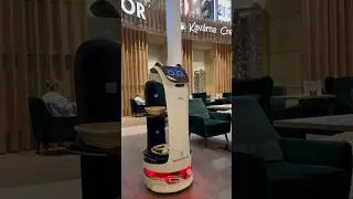 Robotic Server