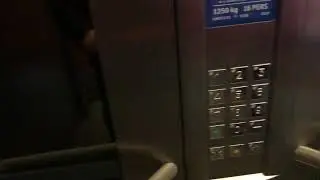 ThyssenKrupp Lift at Edinburgh Zoo