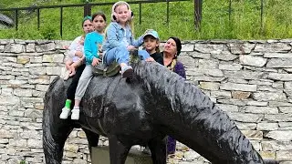 Гости В Чечне так счастливы 🌼🌼🤲Что может быть лучше гор только горы 👍🏻Как здорово 😊