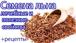 Flax seeds. Medicinal and beneficial properties + RECIPES.
