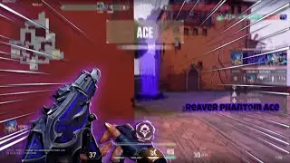 reaver phantom 2.0 ace