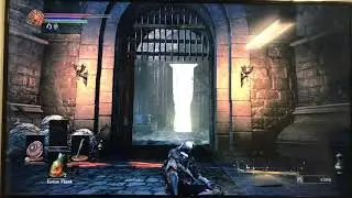Dark Souls III Co-op