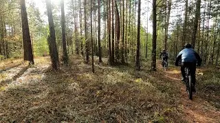 Осенняя тренировка в режиме кросс-кантри
