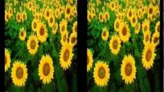 Инструменты Хоопонопоно, часть 1