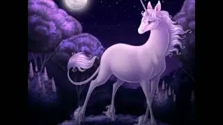 Die 5 schönsten Einhorn Bilder