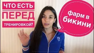 ЗсС 12 фарма в бикини | что есть перед тренировкой