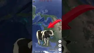 OMG 😱!The giant cow found on google earth and google map #shorts #1k
