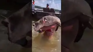 IS THIS FISHING #fyp #fishing #fishingvideo  #foryou #foryoupage #viral #smilepoe #youngstown #ohio