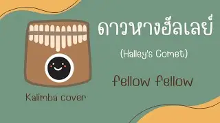 ดาวหางฮัลเลย์ (Halley's Comet) - fellow fellow kalimba cover