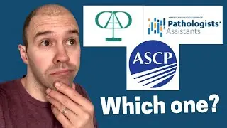 The 3 Professional Organizations You Need To Know as a PA