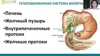 Орган, который нельзя заменить