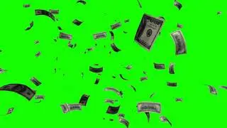 Falling Dollars Green Screen Effect in 4K HD