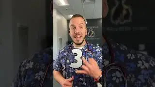 3 растения, които са токсични за твоята котка