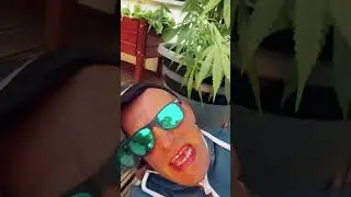 Neue Version von Willma Techno uffm Album: TOP DIE WETTE MILF. Reinhören macht Liebe❤️❤️❤️