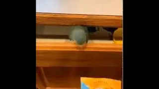 Вместо ножниц