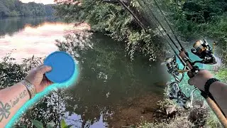 Ultralight Rod comparison ( bank fishing with worms )