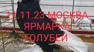 11.11.23 МОСКВА. ЯРМАРКА ГОЛУБЕЙ