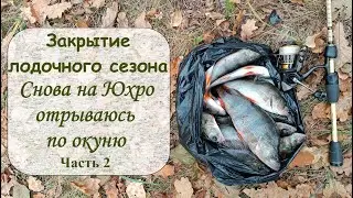 Закрытие лодочного сезона.  Снова на Юхро отрываюсь по окуню.  Часть 2