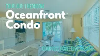 Oceanfront Condos That Feel Like Home, Even Though You're On A Dive Vacation