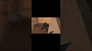 #standoff2