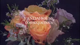 Panda House - 
