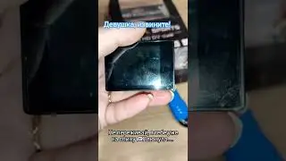 жизнь и реальность....