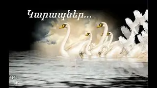 Կարապներ... Փաշիկ  Պողոսյան