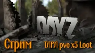 Стрим Dayz Tapa Pve x 5 Loot  Лутаемся и фармим