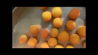 AŞAMA AŞAMA GÜN KURUSU