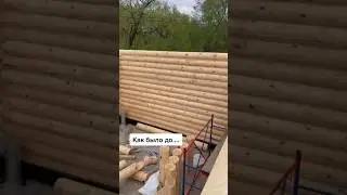 Как мы строили избу для енотов!)