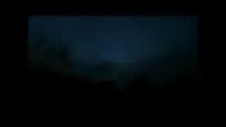 Noclegowisko krukowatych pod Pieprzówkami