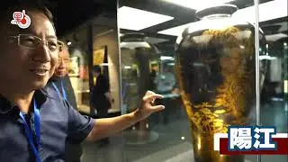 海外华媒年会吹响国际传播集结号2023海外华媒走访广东收获丰