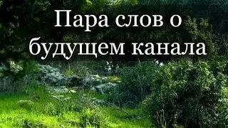 Misty Voice - Что дальше?
