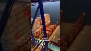 Inside of Port, how Shipingline working In Port, Export import Business