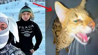 плохой парень вернулся домой | хазяева
