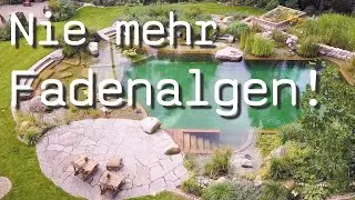 Fadenalgen verhindern - mit der richtigen Planung. 5 Tipps vom Experten