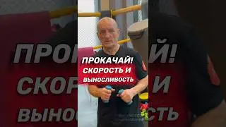 Тренажер для скорости удара. Бокс. 
