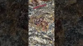 Fiery-red, as the Greeks called it 🔥 #geology #crystals #minerals #rock #youtubeshorts #education