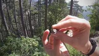 Хребет Таракташ