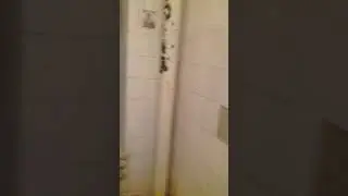ГОВНЮКИ НАШИ СОСЕДИ С ВЕРХНЕГО ЭТАЖА.