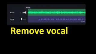 How to Remove Vocals from a Song Without a Software