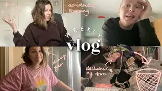 Decluttering My Office, Accidental Purchases & a Stubborn Dog - WEEKLY VLOG