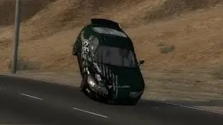 fly and die