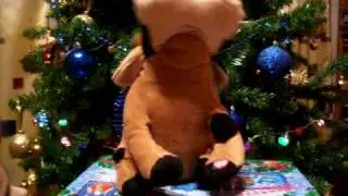 С Новым годом Бычок поздравляет !