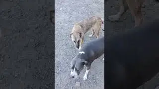 молодежь....