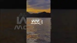 (Alone)alan walker & ava max 
