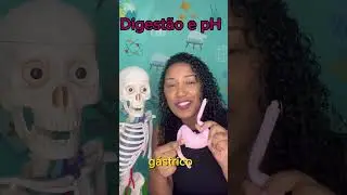 pH e Sistema Digestório? Onde é ácido, neutro ou básico
