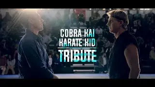 Cobra Kai / Karate Kid -  Tribute