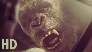 Where did the Titans come from in MonsterVerse?🦍🐉