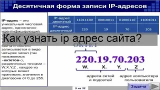 Как узнать ip адрес сайта?